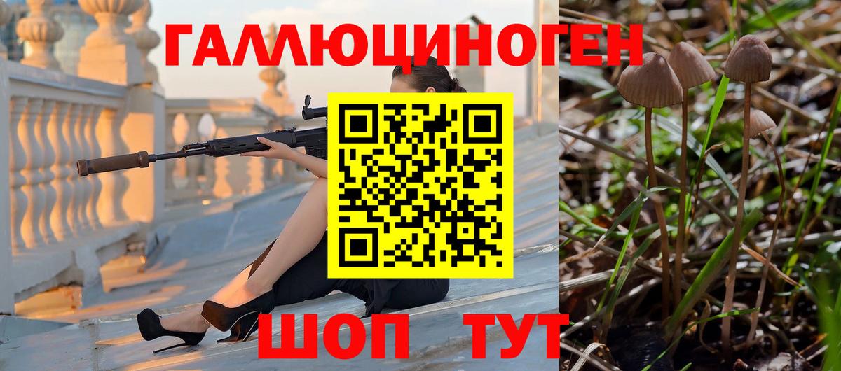 Галлюциногенные грибы Psilocybine cubensis  Псилоцибиновые грибы Cubensis  Губкин  Вход с VPN 